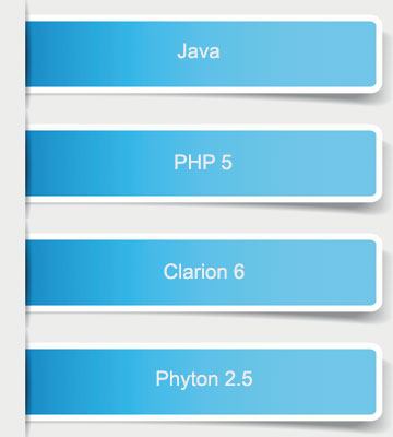Conexión Directa a Web Service