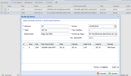 Guía de llenado del Recibo de Pago Electrónico - RV - REALVIRTUAL